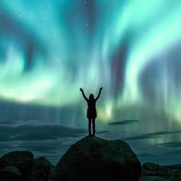 Meet your Posher, Morgan - Picture 1 of 1